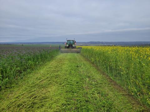 Broyage des couverts