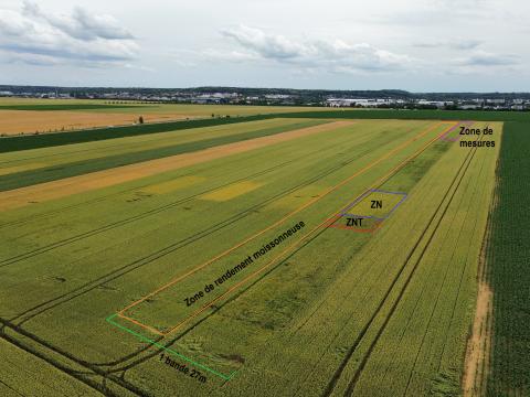 Découpage d'une bande sur Trajectoire, ZN, ZNT, Zone de rendement moissonneuse, Zone de mesures