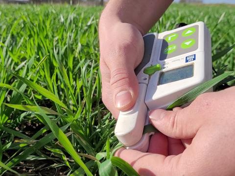 N-Tester® N-Tester®, matériel de mesure de la nutrition azoté des cultures