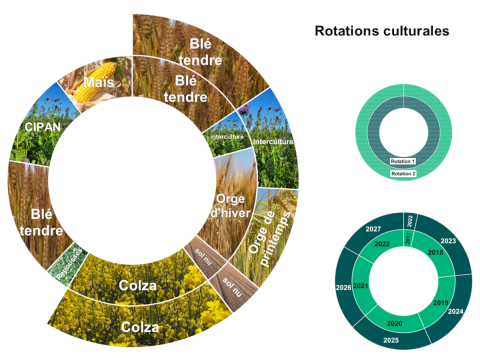 Rotations culturales du système Agriculture de Conservation des Sols Rotations culturales du système Agriculture de Conservation des Sols, blé, escrougeon, colza, blé, maïs