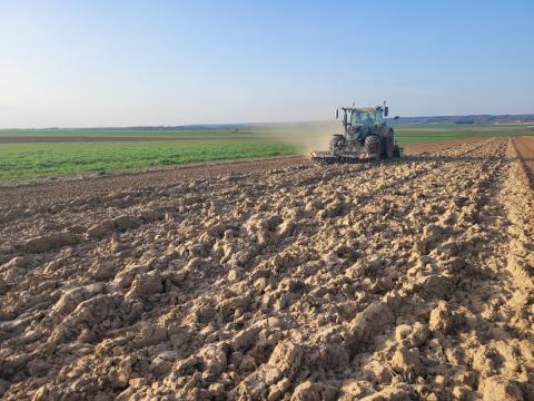 Semis de blé Semis de blé